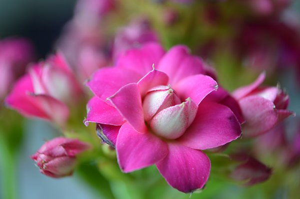 Externes Bild, es gelten die Datenschutz- und Nutzungsbestimmungen der ausgewählten Seite.